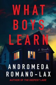 Cover of What Boys Learn shows a house at night with a figure at a lit window. 