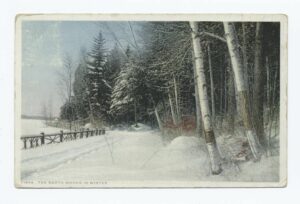 Image shows a snowy field beside a forest from an early 20th century postcard.